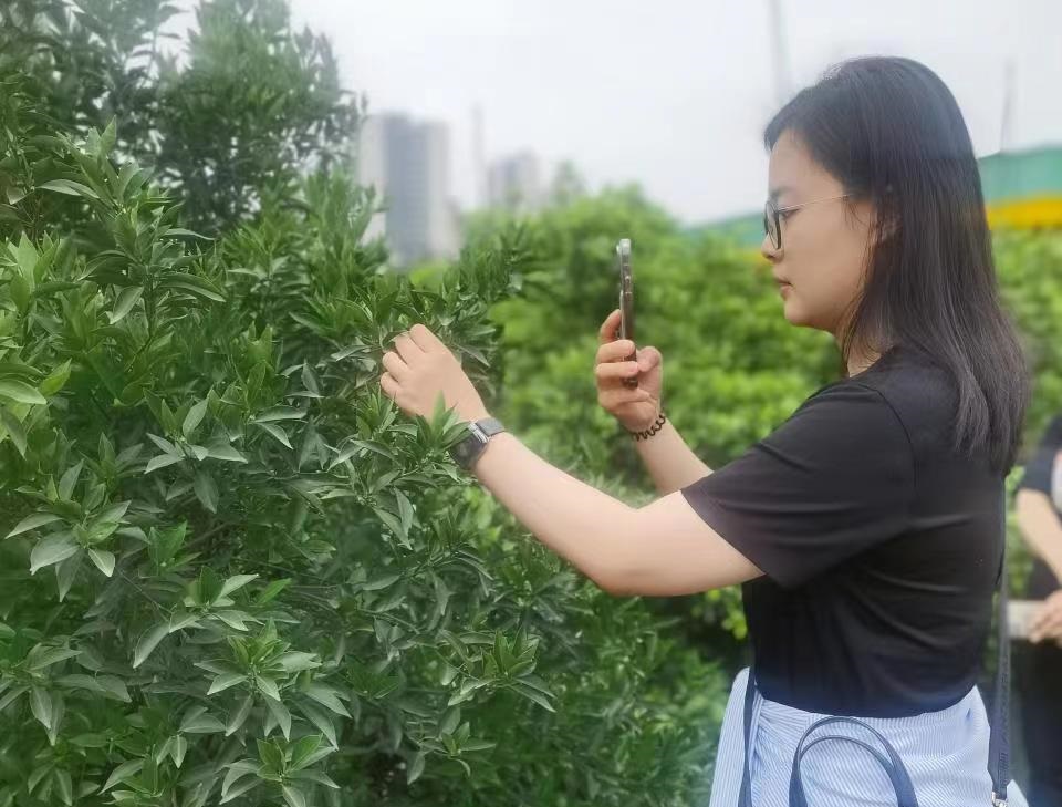 微信圖片_202304141328331.jpg 微信圖片_202304141328331.jpg